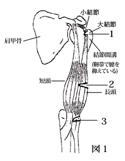 ��r�񓪋ؒf��