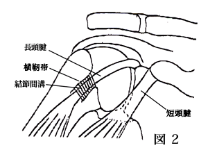 ��r�񓪋ؒf��