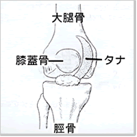 �^�i��Q�C���[�W