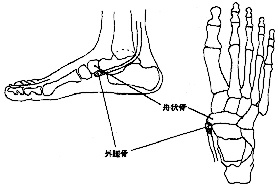 �L�ɐ��O����