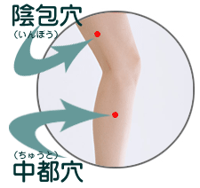 �悤�낤�i�{�V�j