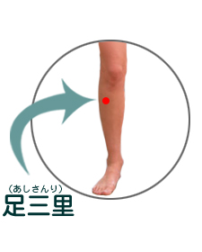 ���O���i���������j