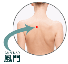 ����i�ӂ�����j