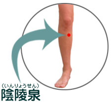 �A�ː�i�����傤����j