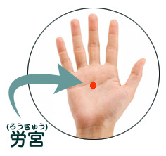 �J�{�i�낤���イ�j