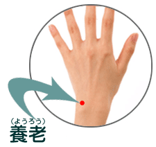 �悤�낤�i�{�V�j