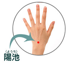 �z�r(�悤��)